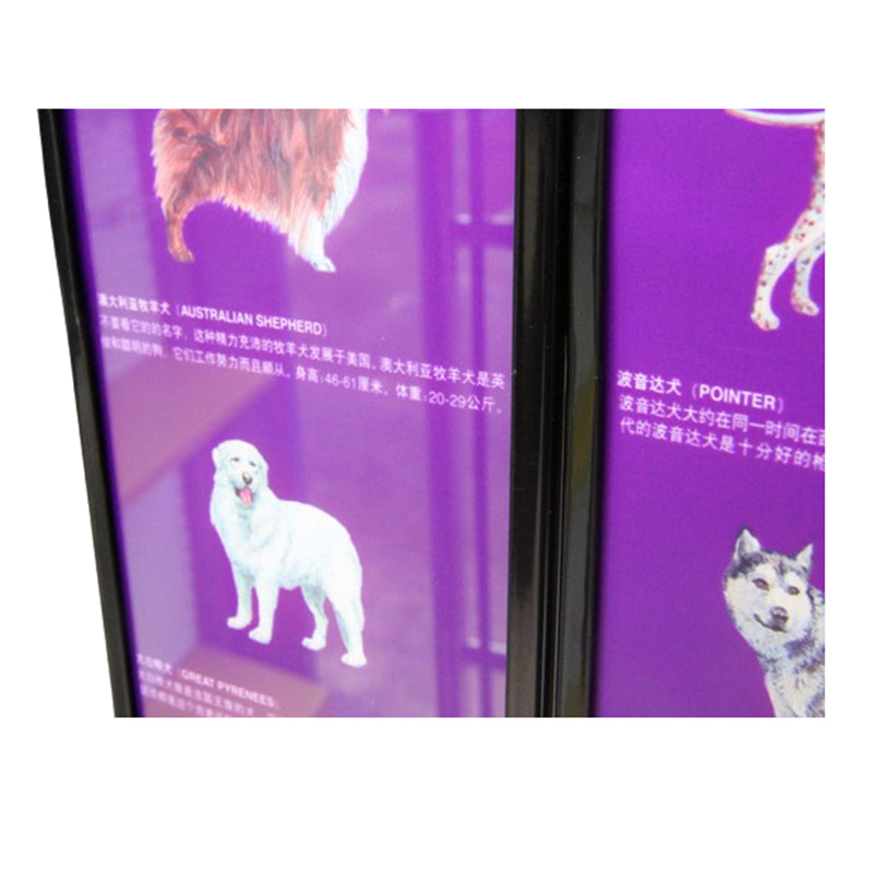 pet food display shelf EGP01